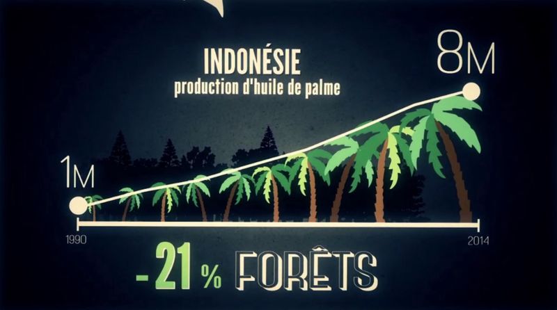 Fichier:Déforestation2.jpg